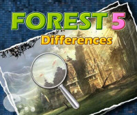 Лес 5 Отличий