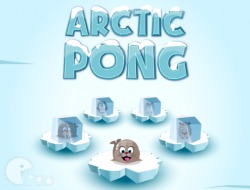 Арктический понг