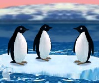 Моторизованные пингвины