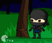 Ниндзя доставка