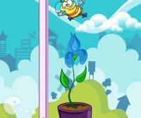 Цветок лихорадка