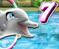 Шоу с дельфинами 7